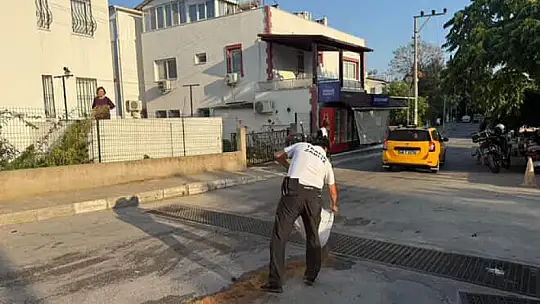 Airbagler Patladı, Sürücü Alkollü Çıktı!
