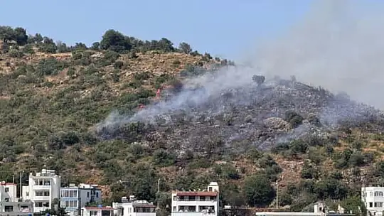Bodrum Alev Alev! İslamhaneleri ve Gündoğan'da Yangın!