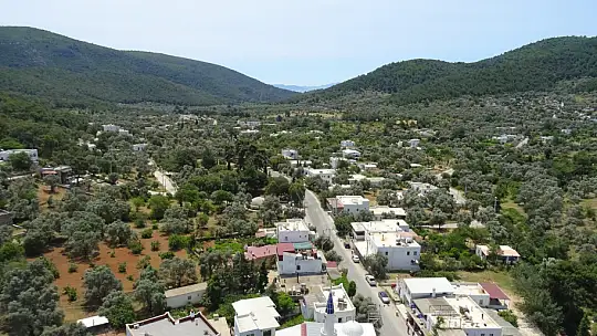 Jandarma ve Zabıta Ekiplerinden Yangın Önlemi