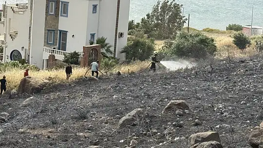 Elektrik Telleri Yangın Çıkardı: Müdahale Sürüyor