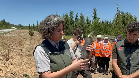 Aile Yılı'nda Anlamlı Buluşma: Fidanlar Anneler İçin Dikildi