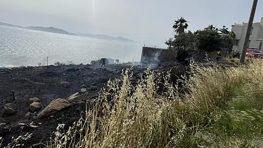 Elektrik Telleri Yangın Çıkardı: Müdahale Sürüyor