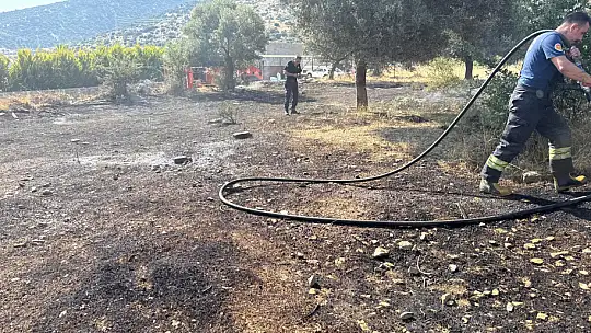 Bodrum'da otluk alanda yangın!