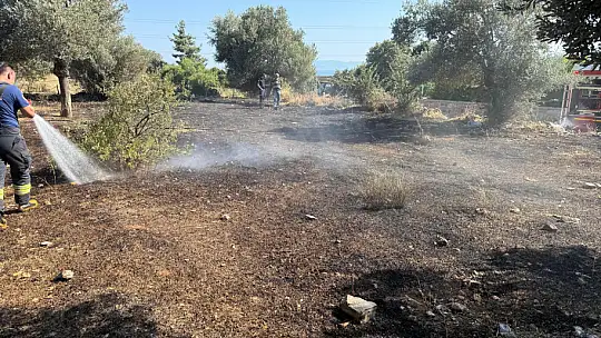 Bodrum'da otluk alanda yangın!