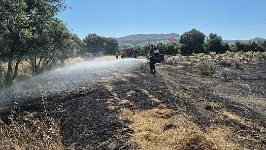 Develer için ot yetiştirilen arazi yandı