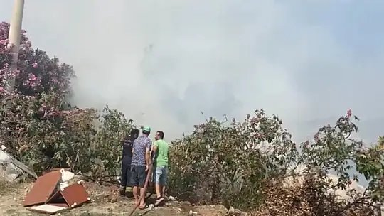 Bodrum Alev Alev! İslamhaneleri ve Gündoğan'da Yangın!