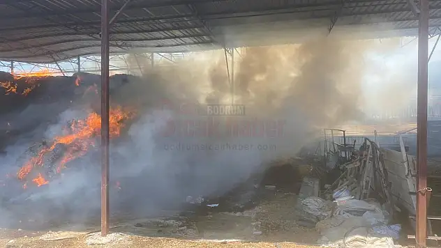 1 Yıllık Emek Yangında Kül Oldu