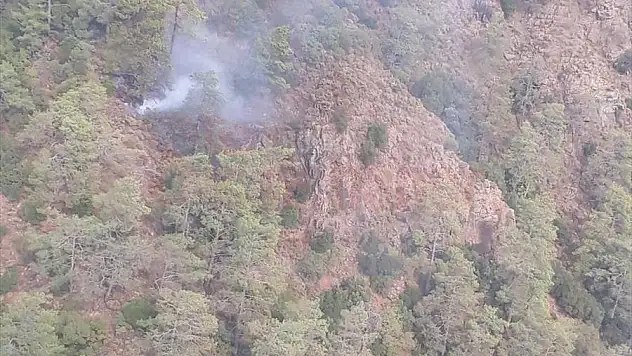 11 Noktada Çıkan Orman Yangınları Kontrol Altına Alındı