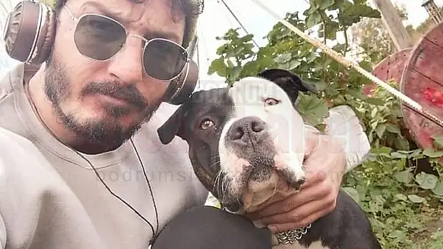 15 gündür çalınan köpeğini arıyor