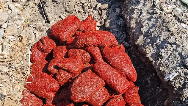 1,5 Ton  Kaçak Midye Yakalandı