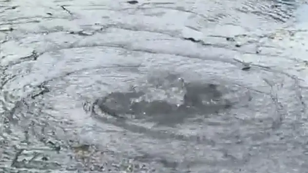 19 Ocak'ta Uyardık rezerv denize akıyor