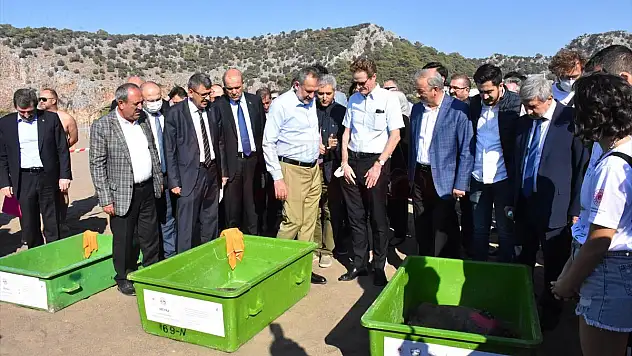 2 caretta caretta ile yeşil deniz kaplumbağasının tedavisi tamamlandı