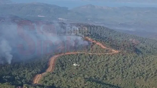 2 Gündür Devam Eden Yangına Havadan Destek Artırıldı