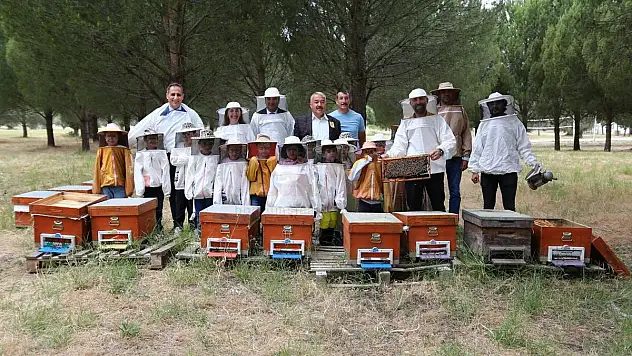 20 Mayıs Dünya Arı Günü Çeşitli Etkinliklerle Kutlandı