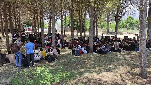 237 Düzensiz Göçmen Yakalandı