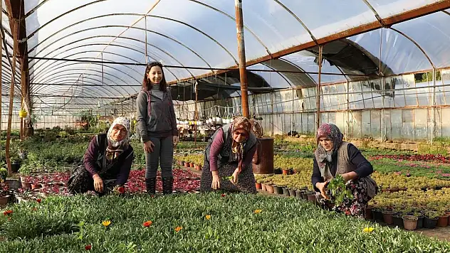 25 Milyon Çiçek Üretimi İle Üretici ve Muğla Kazandı