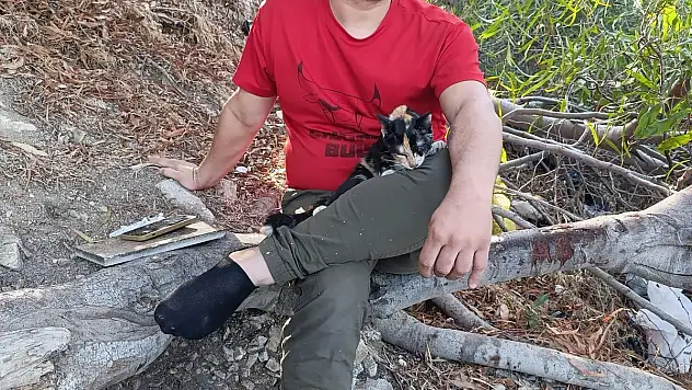 3 Gün Süren Yaşam Savaşını Kaybetti