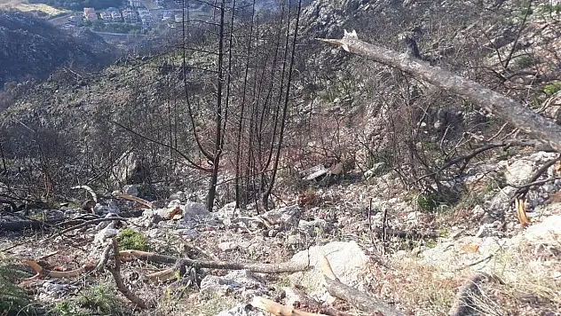 35 Metrelik Uçuruma Yuvarlanan Otomobilden Sağ Çıktılar