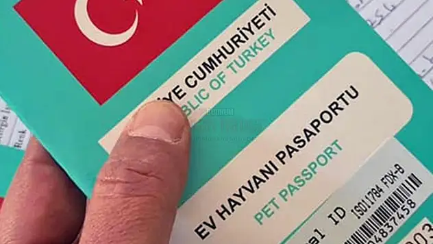 37 Bin Havyana Mikroçip Takıldı