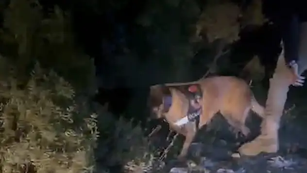 4 Milyon TL'lik uyuşturucu operasyonu