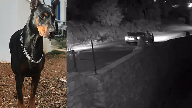 4 Yaşındaki Gece Evinin Önünden Çalındı