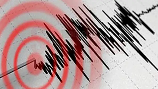 4,1 Şiddetindeki Deprem Korkuttu