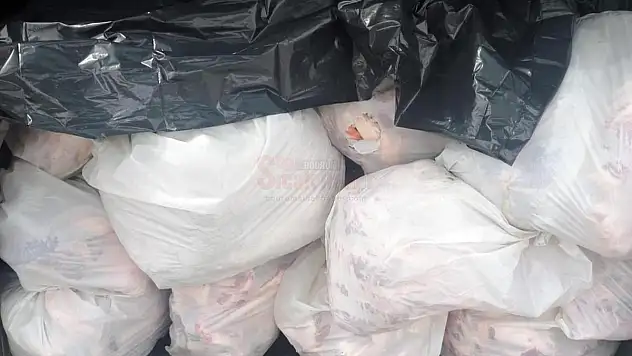 563 Kilo Kaçak Et Yakalandı