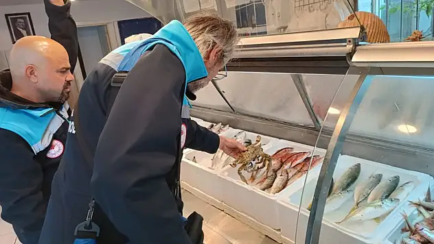 6 işletmeye 379 bin TL ceza