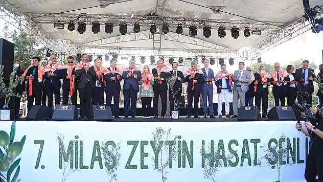 7. Milas Zeytin Hasat Şenliği Başladı