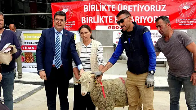 75 Adet Koç ve 625 Kilogram Yerfıstığı Üreticilere Dağıtıldı