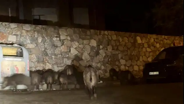 Aç Kalınca Mahalleleri Mesken Tuttular