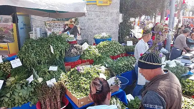 Acı Ot Festivali Bu Hafta Sonu Ortakent'te!
