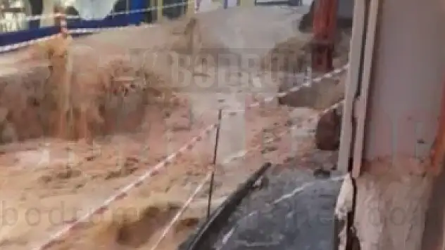 Afet Gibi Yağan Yağmur Bodrumu Etkiledi Kediler Köpekler Sel Sularına Kapılıp Boğuldu