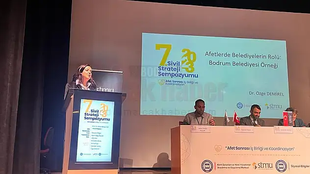 Afetlerde Belediyelerin Rolü: Bodrum Belediyesi Örneği