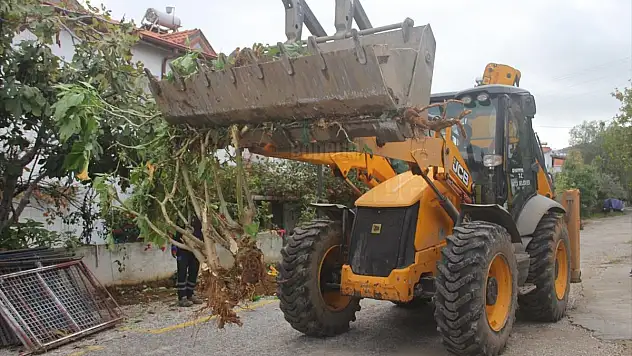 Ağaç ve Çiçeklerin Sökülmesi Tepki Çekti