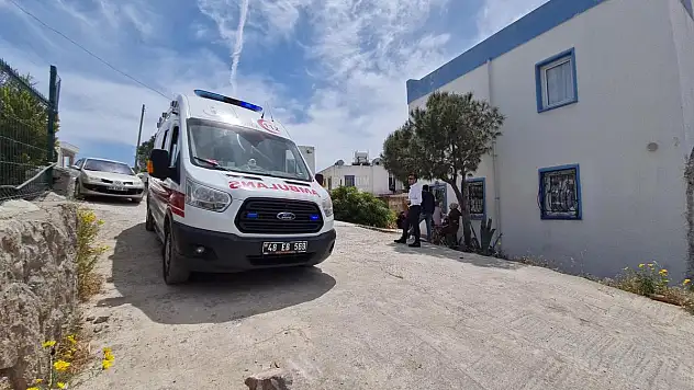 Ağaca Asılı Halde Bulundu