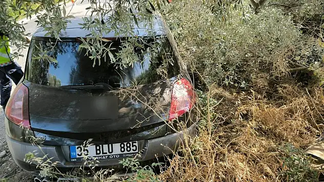 Ağaca Çarpan Otomobilin Sürücüsü Hayatını Kaybetti