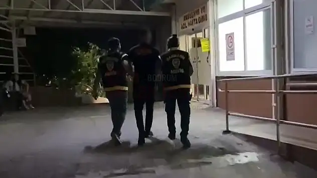 Ağaca Çıkarak Meşaleli Şov Yapan Şahıs Gözaltına Alındı