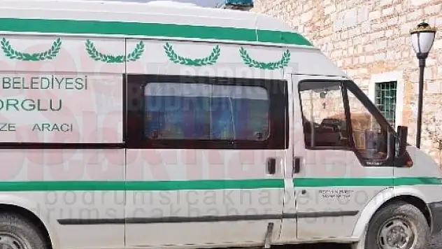 Ağaçta Asılı Halde Bulundu