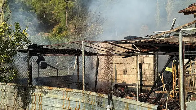 Ahır alevlere teslim oldu