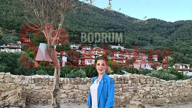 AK Parti Muğla Milletvekili Gökcan, İdyma Antik Kenti kazı çalışmalarını yerinde inceledi