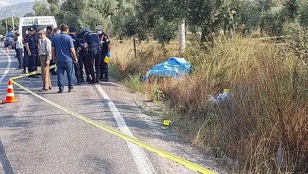 Akşam Eve Dönmedi, Yol Kenarında Ölü Bulundu