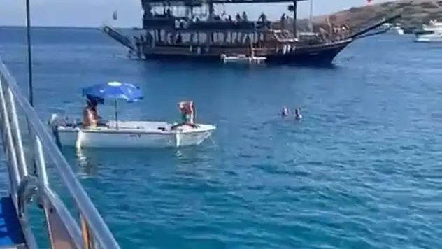 Akvaryum koyundaki olayın yeni görüntüleri ortaya çıktı !