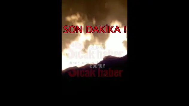 Akyarlar Bölgesinde Yangın Çıktı!