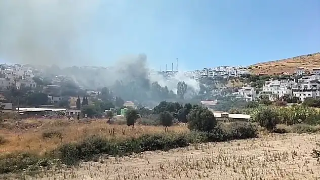 Akyarlar'da Yangın Paniği!