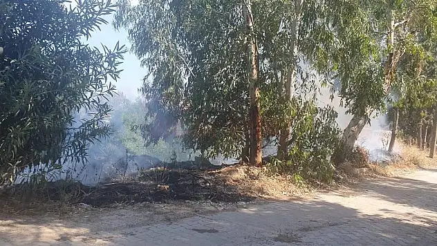 Akyarlar'da Ağaçlık Alanda Yangın Çıktı