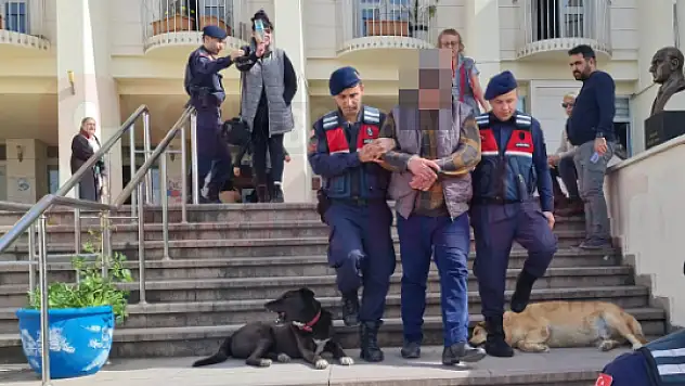 Akyarlar'da Kedi ve Köpekleri Zehirleyen Kişi Tutuklandı