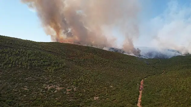 Alevler Bodrum Güvercinlik Mahallesine Doğru İlerliyor