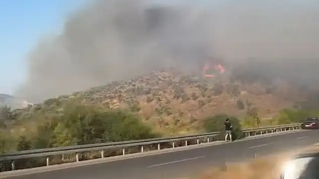 Alevler hızla büyüdü ! Güllük'te yangın paniği !