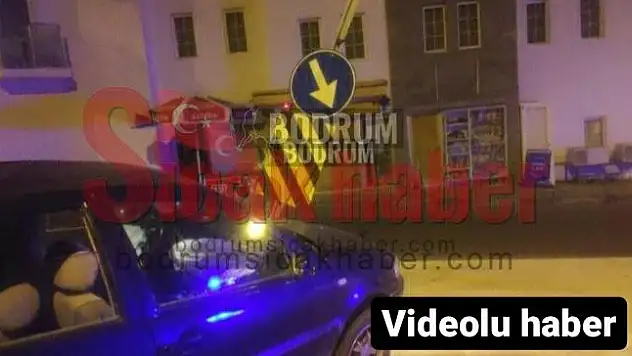 Alkollü Sürücü Trafik Levhasına Çarptı